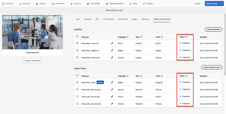 Status column highlighted for Subtitles and Audio Tracks fields.