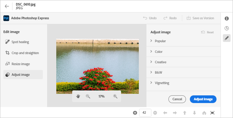 Adjust image by editing