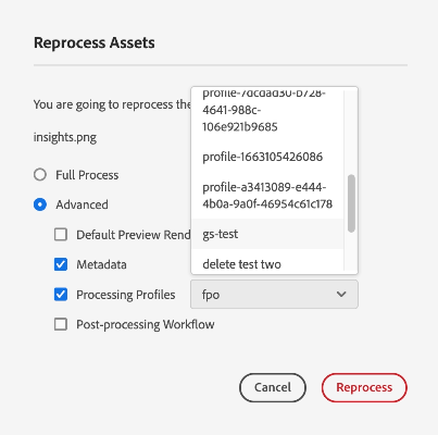 Advanced Reprocessing Assets Options2