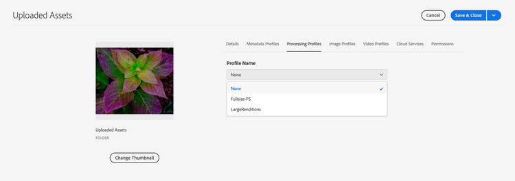 Properties of an asset folder with options to add a processing profile