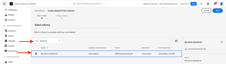 AEP Create Datasets Select Schema