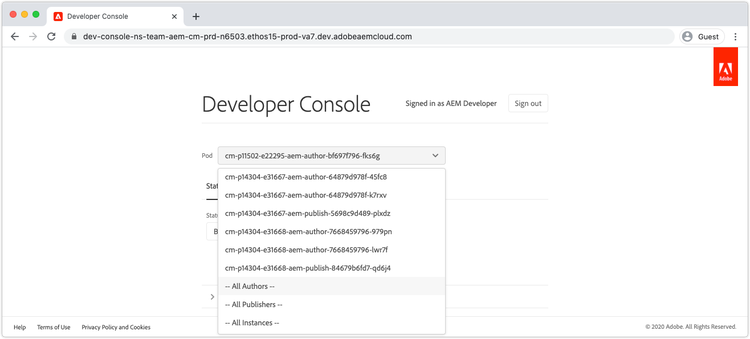 Developer Console - Pod