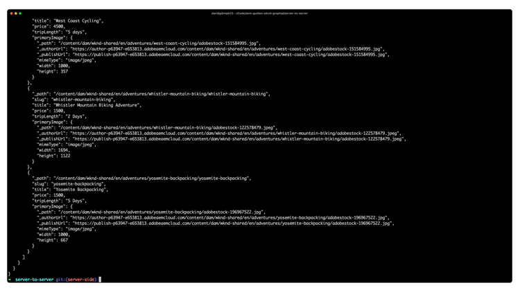 Server-to-server Node.js app with AEM Headless