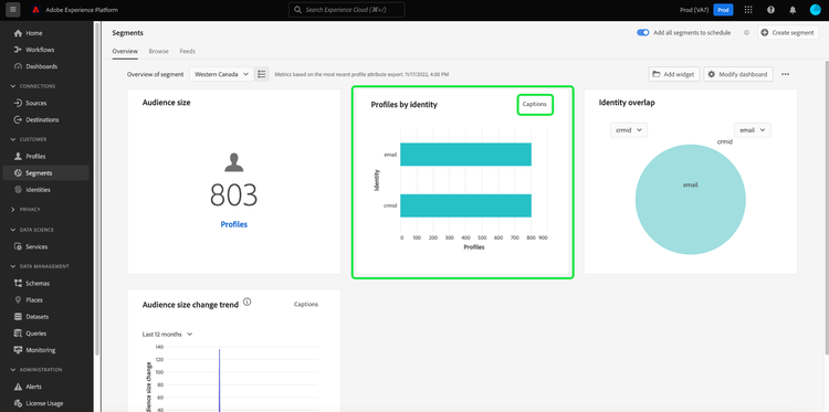 The Audiences dashboard overview with the Profiles by identity widget and Captions option highlighted.