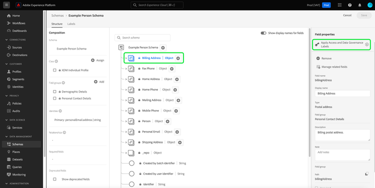 The Schemas workspace Structure tab displaying the visualization of your schema with Apply Access and Data Governance Labels highlighted.