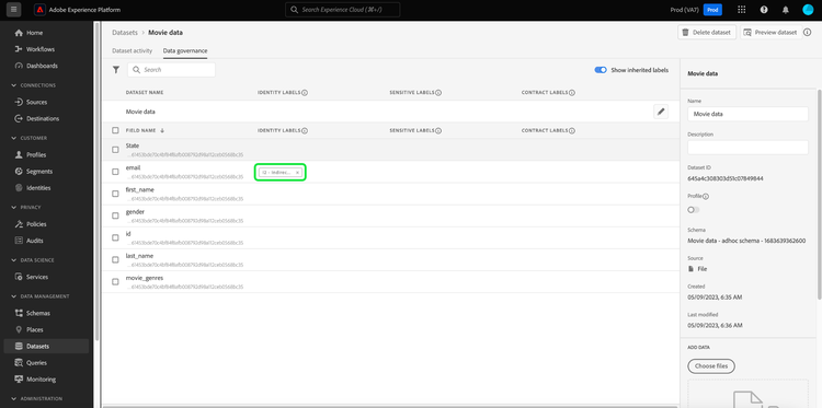 The Data Governance tab of the Datasets workspace with a deletable label highlighted.