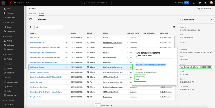 The Datasets dashboard with a dataset selected, and a schema dialog opened from the dataset details panel. The primary ID of the dataset is highlighted.