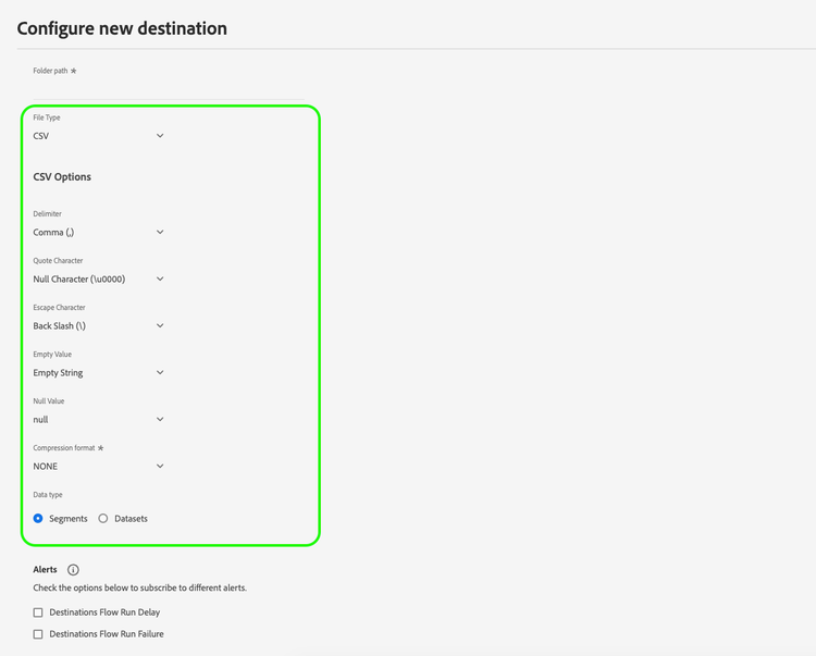 Image showing the file type selection and various options for CSV files.