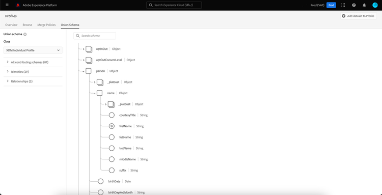 A set of nested fields within the union schema is expanded.