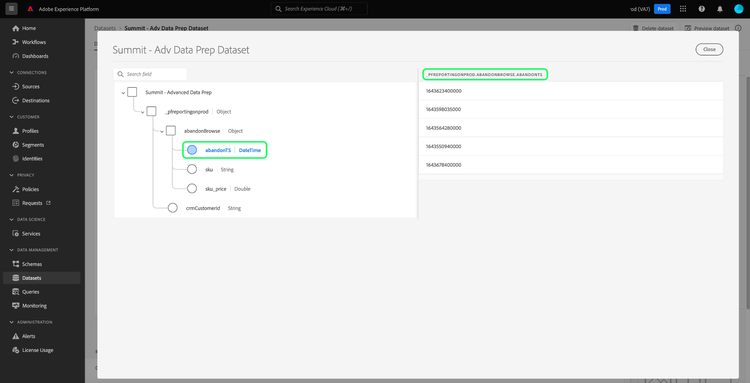 The XDM schema and tabular view of the flattened data. The column name of a nested dataset is highlighted in the UI.