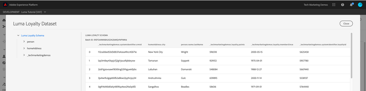 Preview the successful dataset